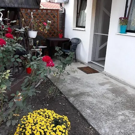 Apartment Joy Timisoara