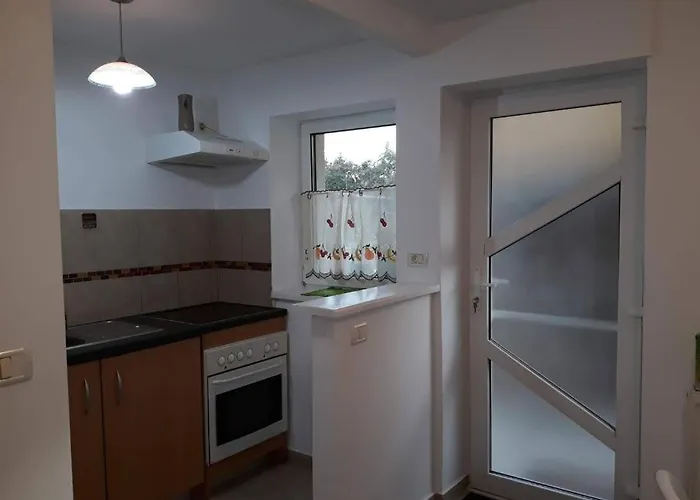 Joy Apartamento Timişoara