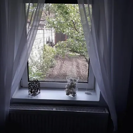 Joy Apartment *